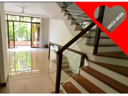 Holland Link (D10), Terrace #499209021